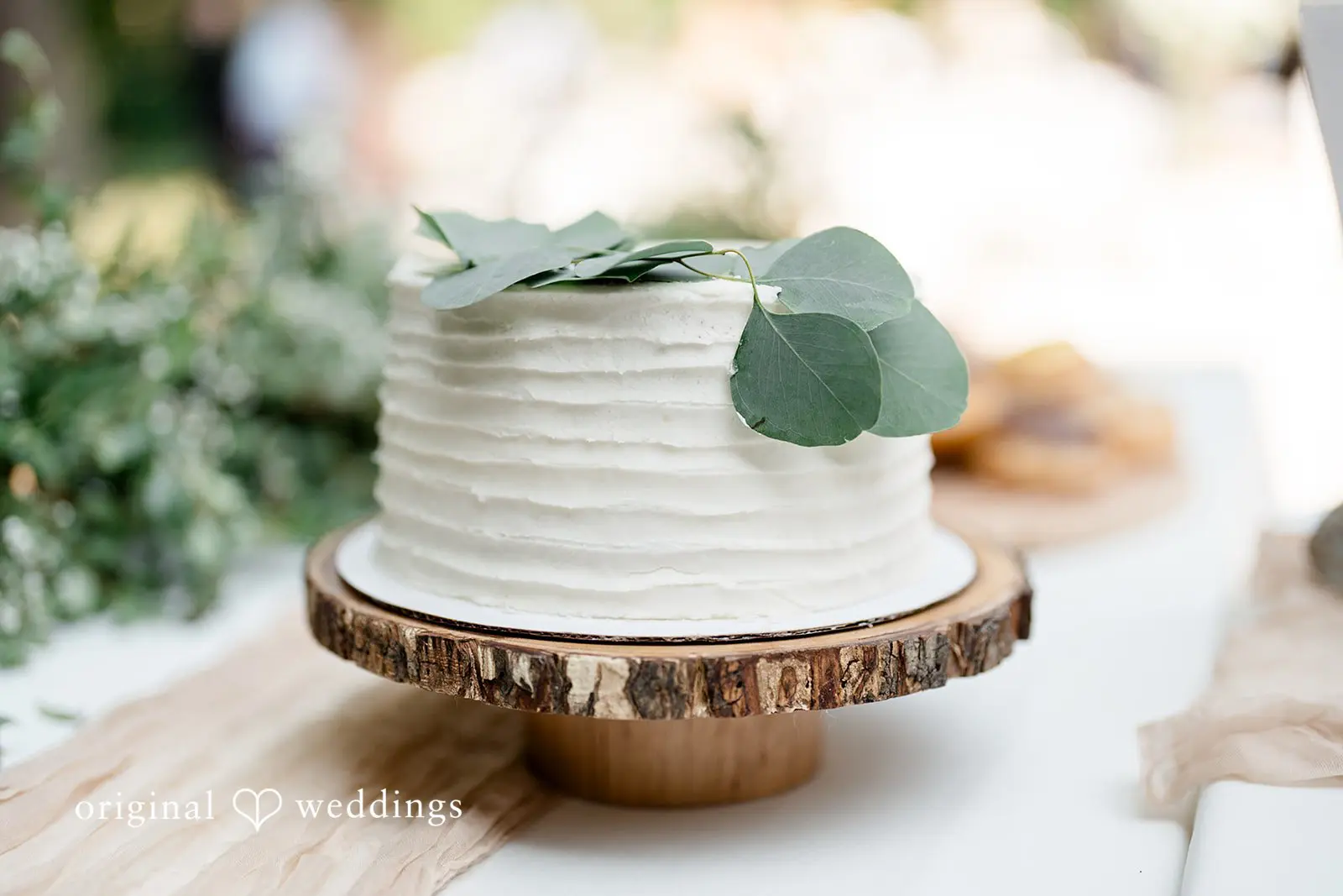 Washington Backyard Wedding // Karsyn & Joseph -