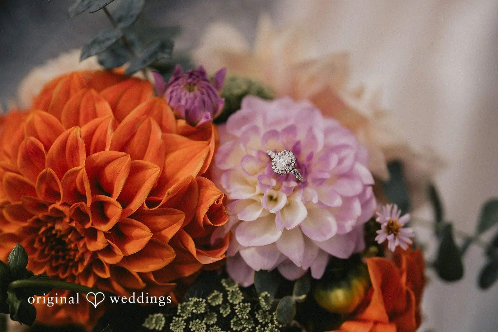 Kiara + Paul Washington Backyard Wedding // Kiara & Paul -