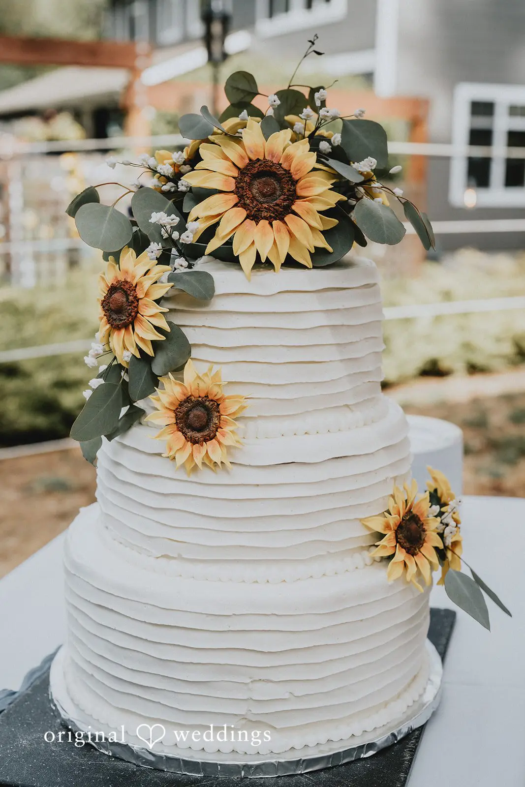 Washington Backyard Wedding // Maranda & Jose -