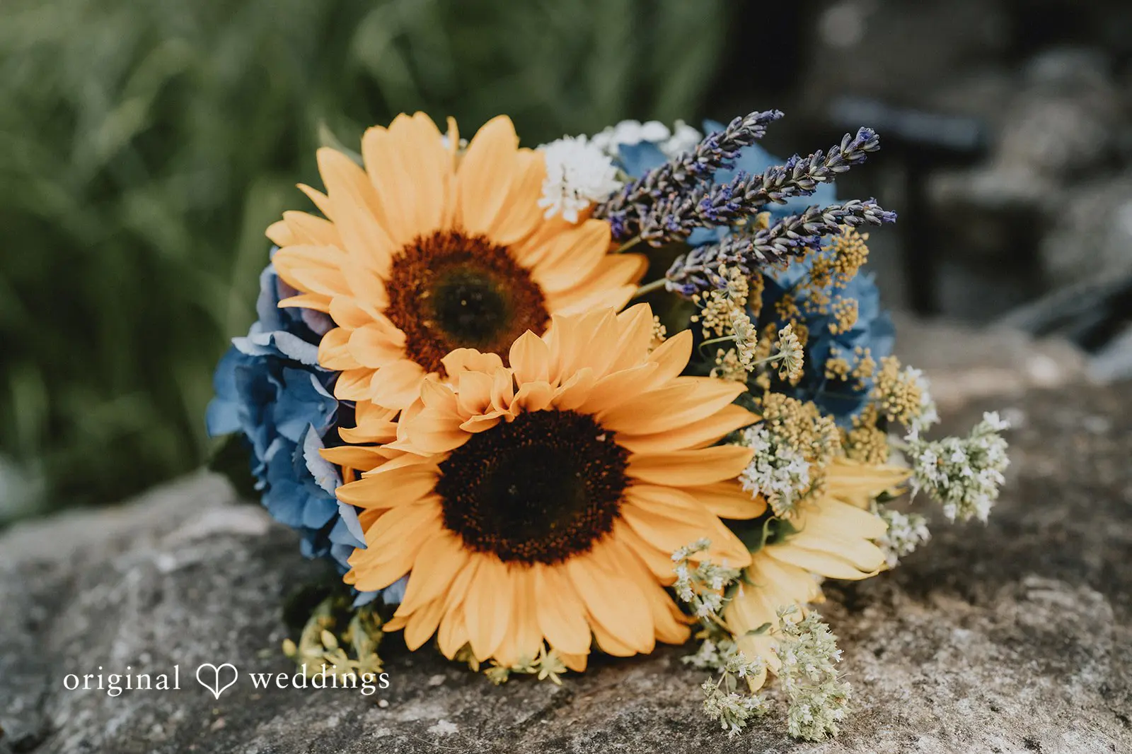 Washington Backyard Wedding // Maranda & Jose -
