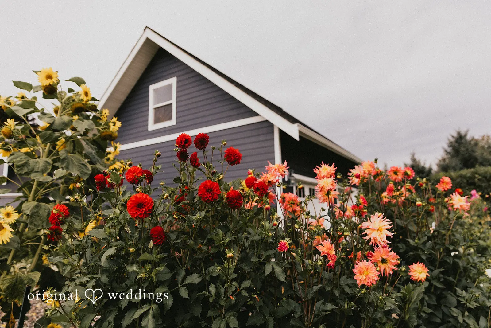 Olivia + Reid Washington Backyard Wedding // Olivia & Reid -