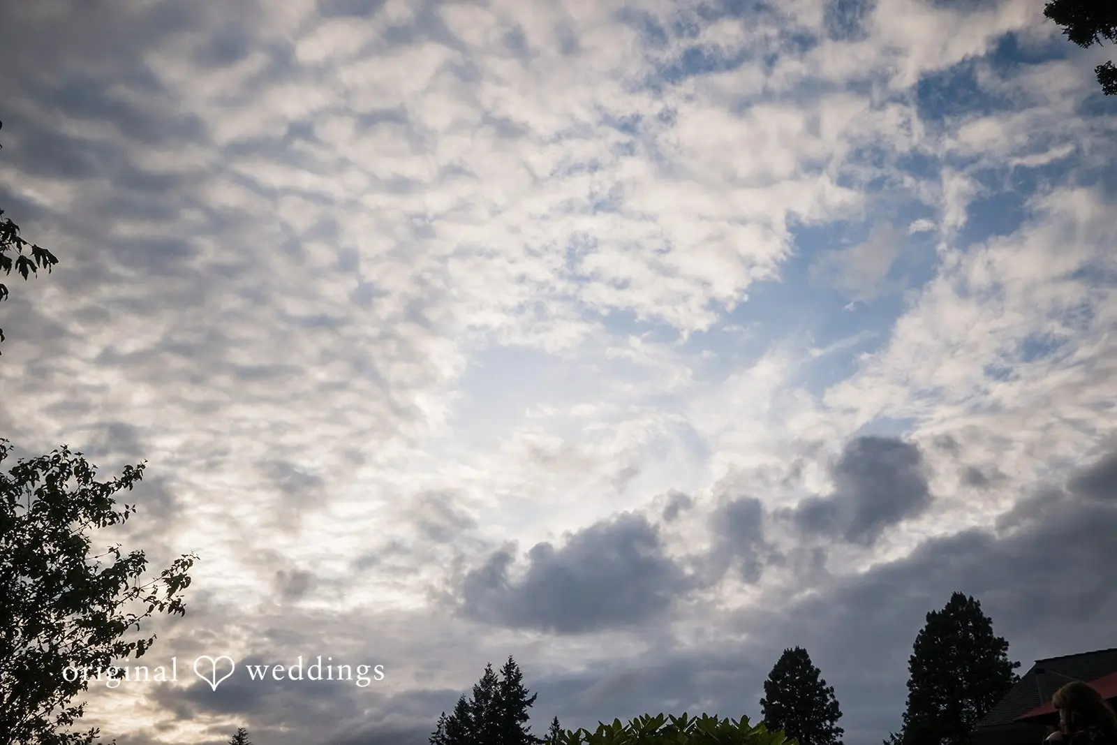 David + Avida Washington Backyard Wedding // David & Avida -