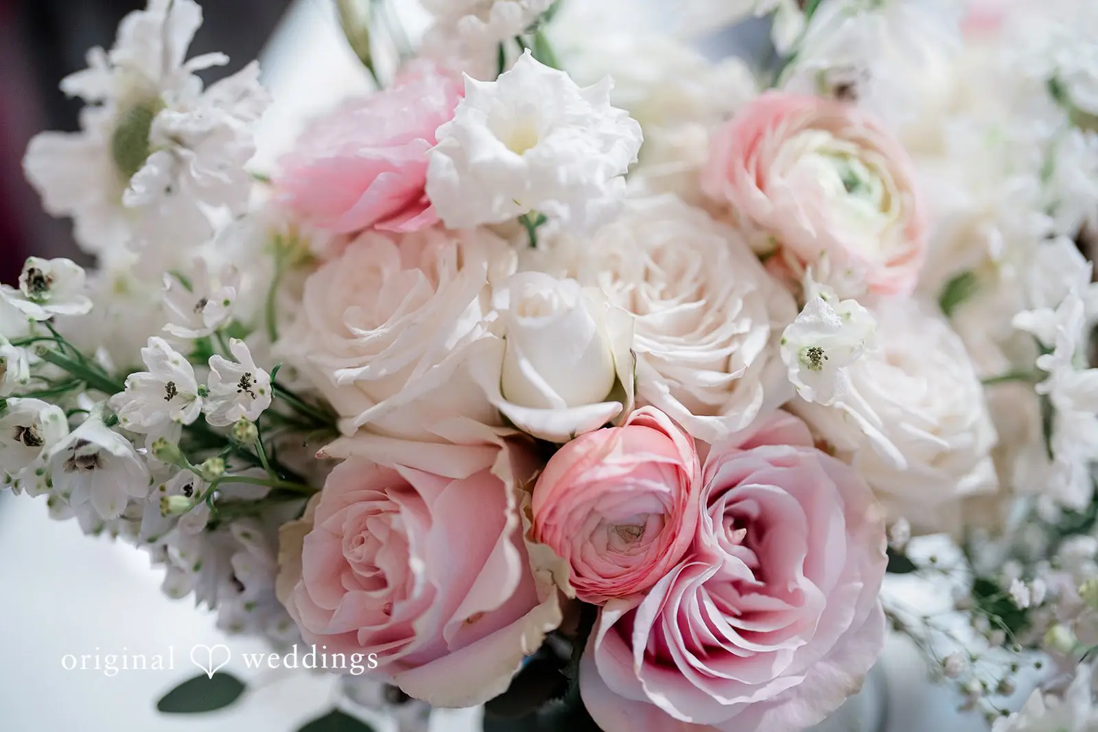 Shawnell + Brady Washington Backyard Wedding // Shawnell & Brady -