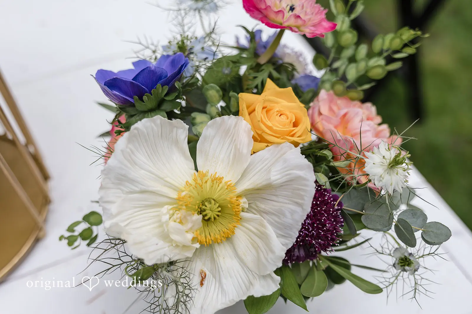 Rhianon + Dennis Washington Backyard Wedding // Rhianon & Dennis -