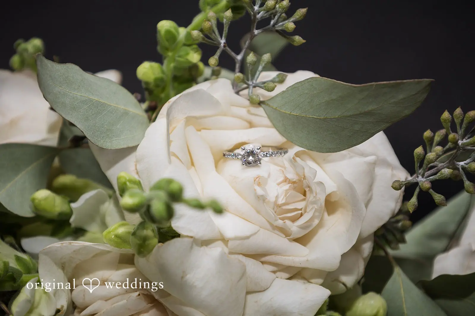 Jay + Ingrid Wilder Wedding // Jay & Ingrid -