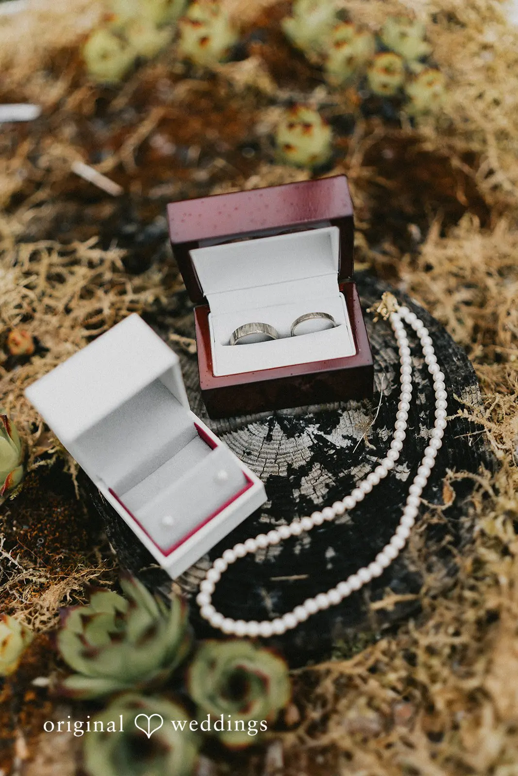 Jena + Brick Wildshoot Forest and Farm Wedding // Jena & Brick -