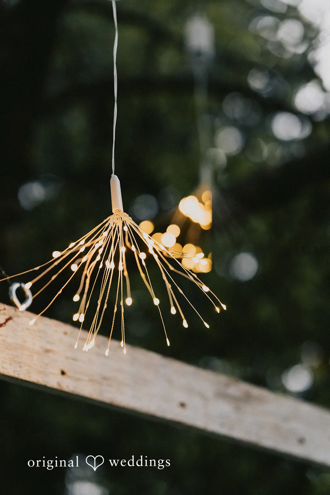 Dalina + Alex Wisconsin Backyard Wedding // Dalina & Alex -