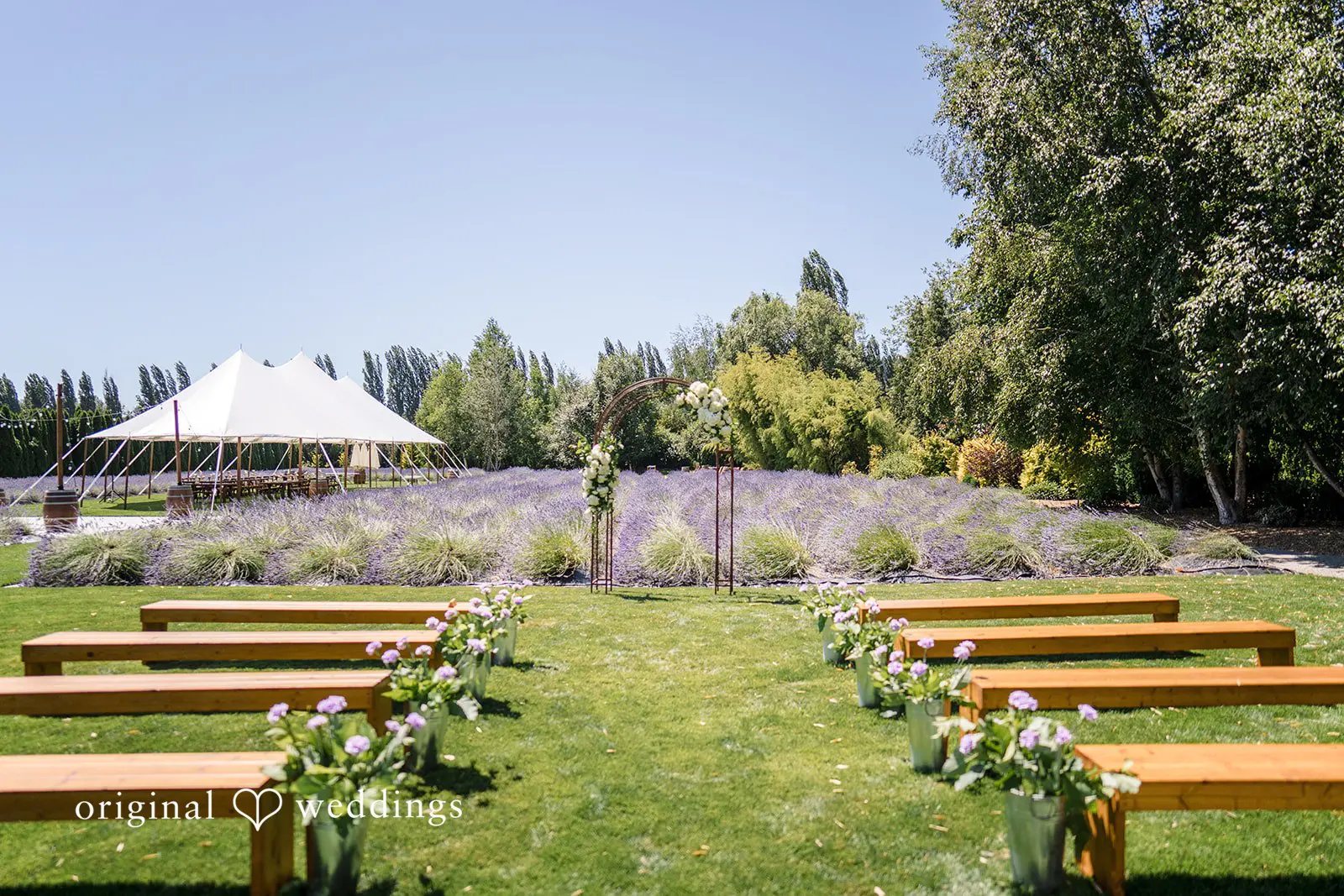 Woodinville Lavender Farm Wedding // Emily & Anthony -