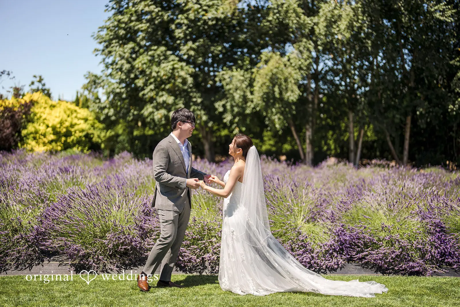 Woodinville Lavender Farm Wedding // Emily & Anthony -