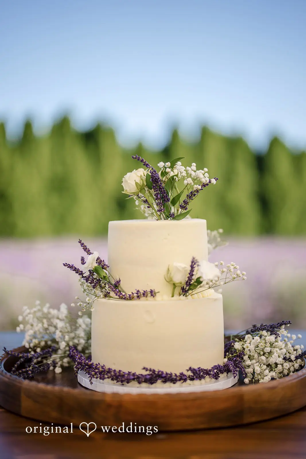 Woodinville Lavender Farm Wedding // Emily & Anthony -