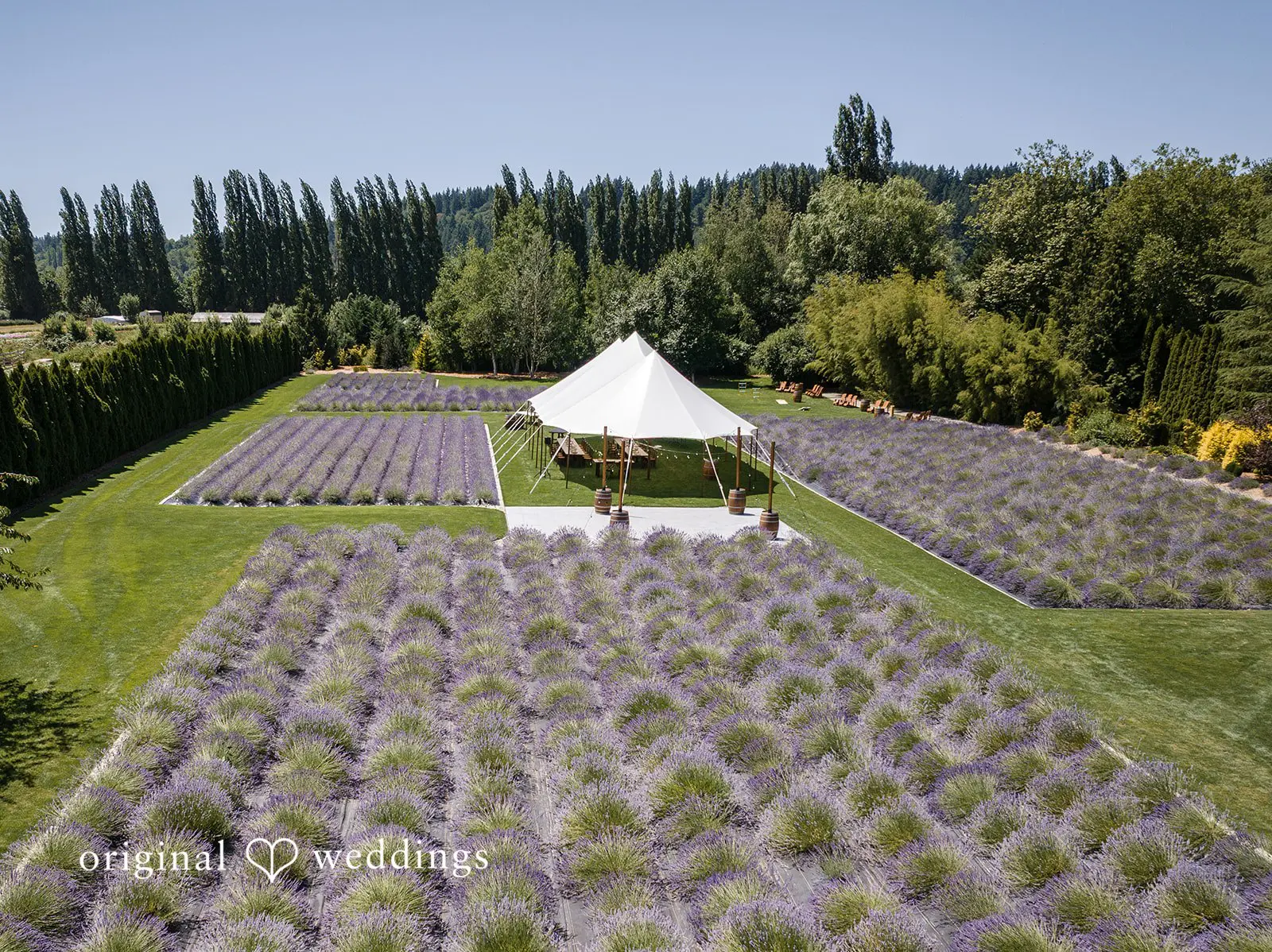 Woodinville Lavender Farm Wedding // Emily & Anthony -