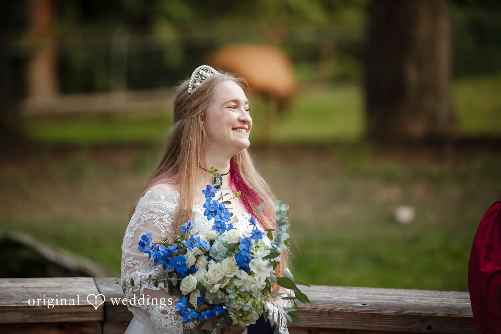 Annalise + Jonathan Woodland Park Zoo Wedding // Annalise & Jonathan -