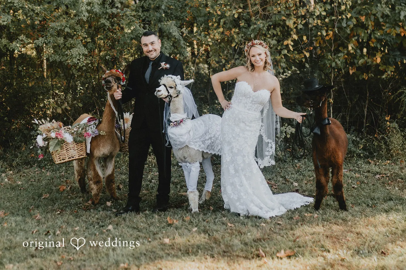 Arrowood Farms Wedding // Kirsten & Zachary -