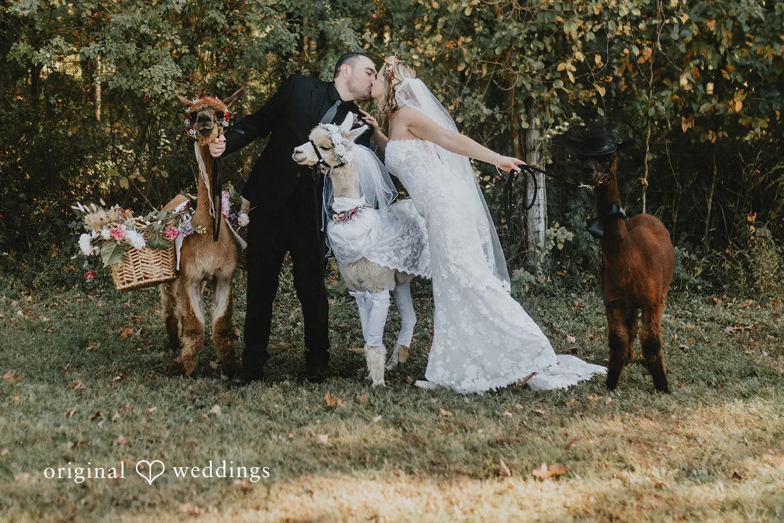 Arrowood Farms Wedding // Kirsten & Zachary -
