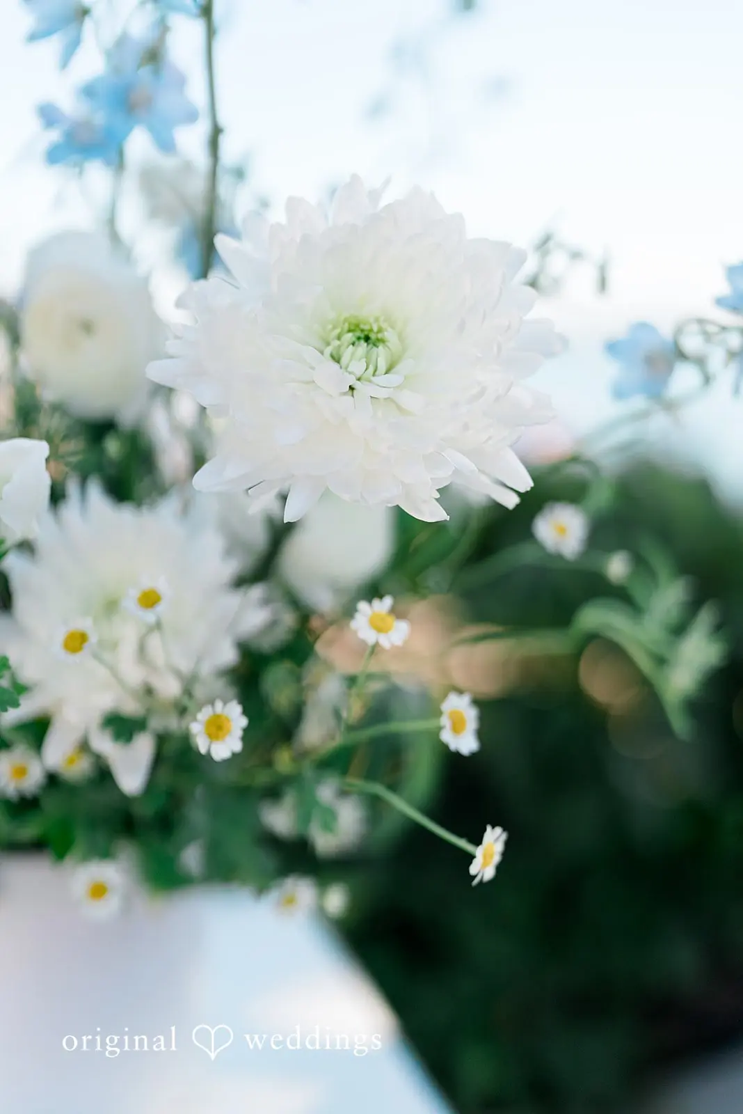 Nicole + Nils Bali Hai Restaurant Wedding // Nicole & Nils -