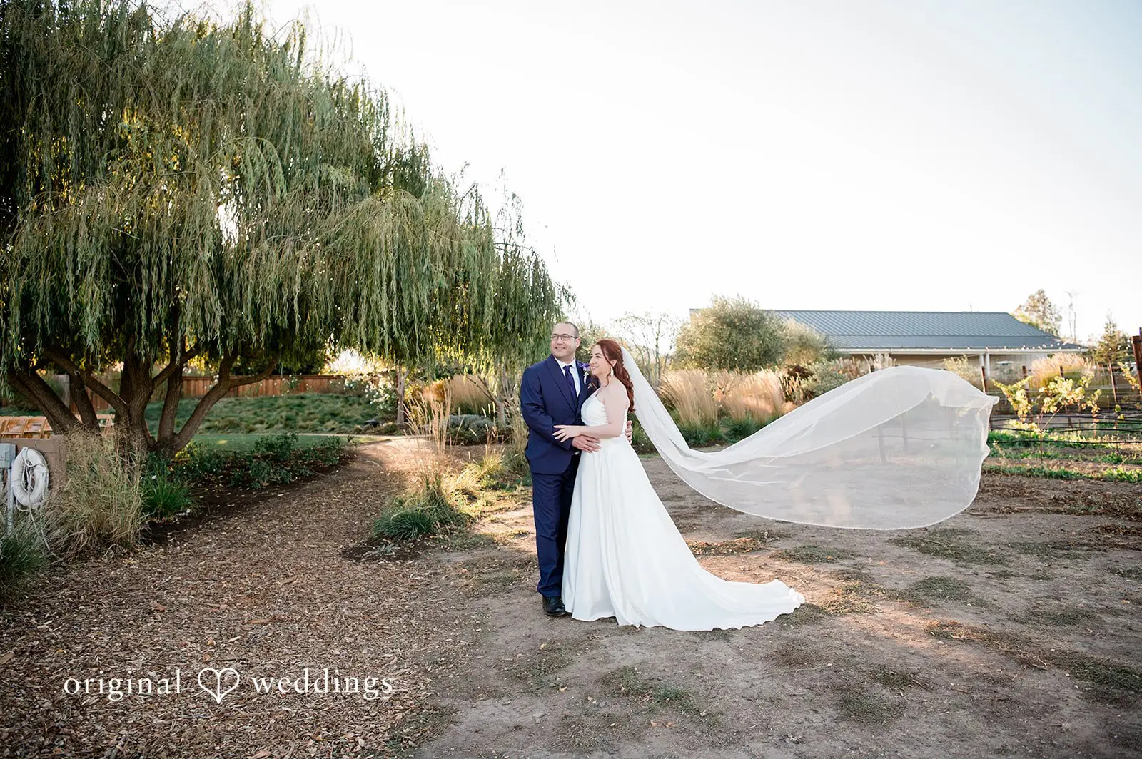 Barn at Harrow Cellars Wedding // Michelle & Carlos -
