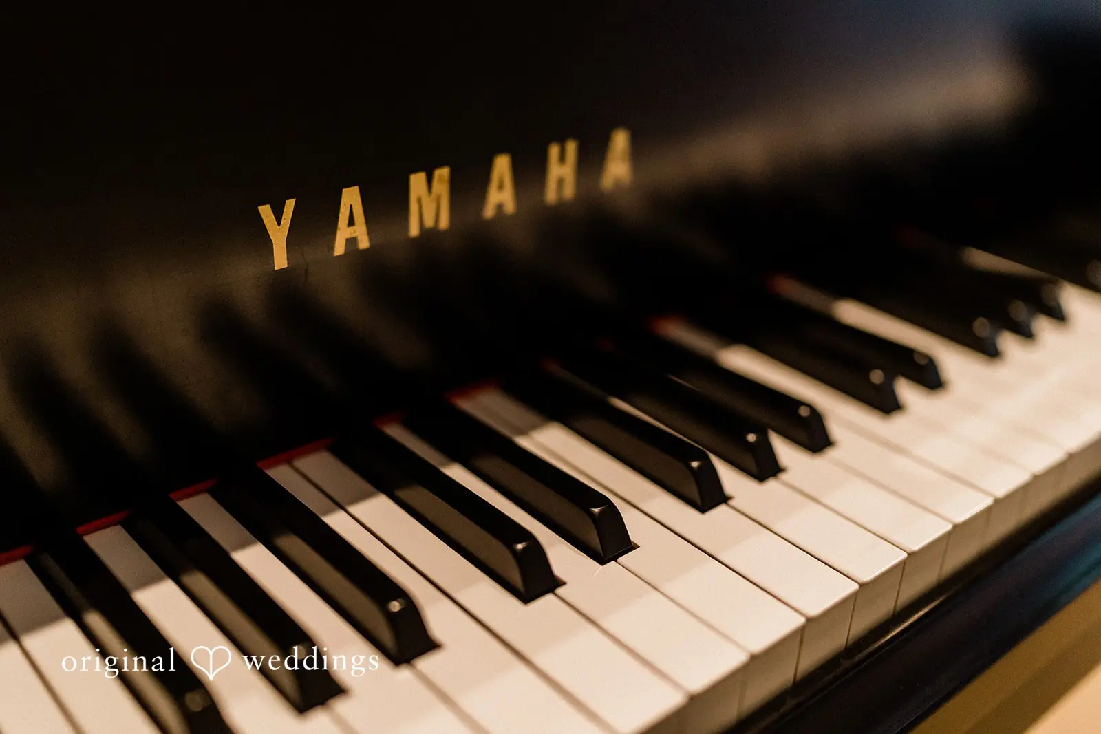 Bellevue Christian Reformed Church Wedding // Ericka & Allen -