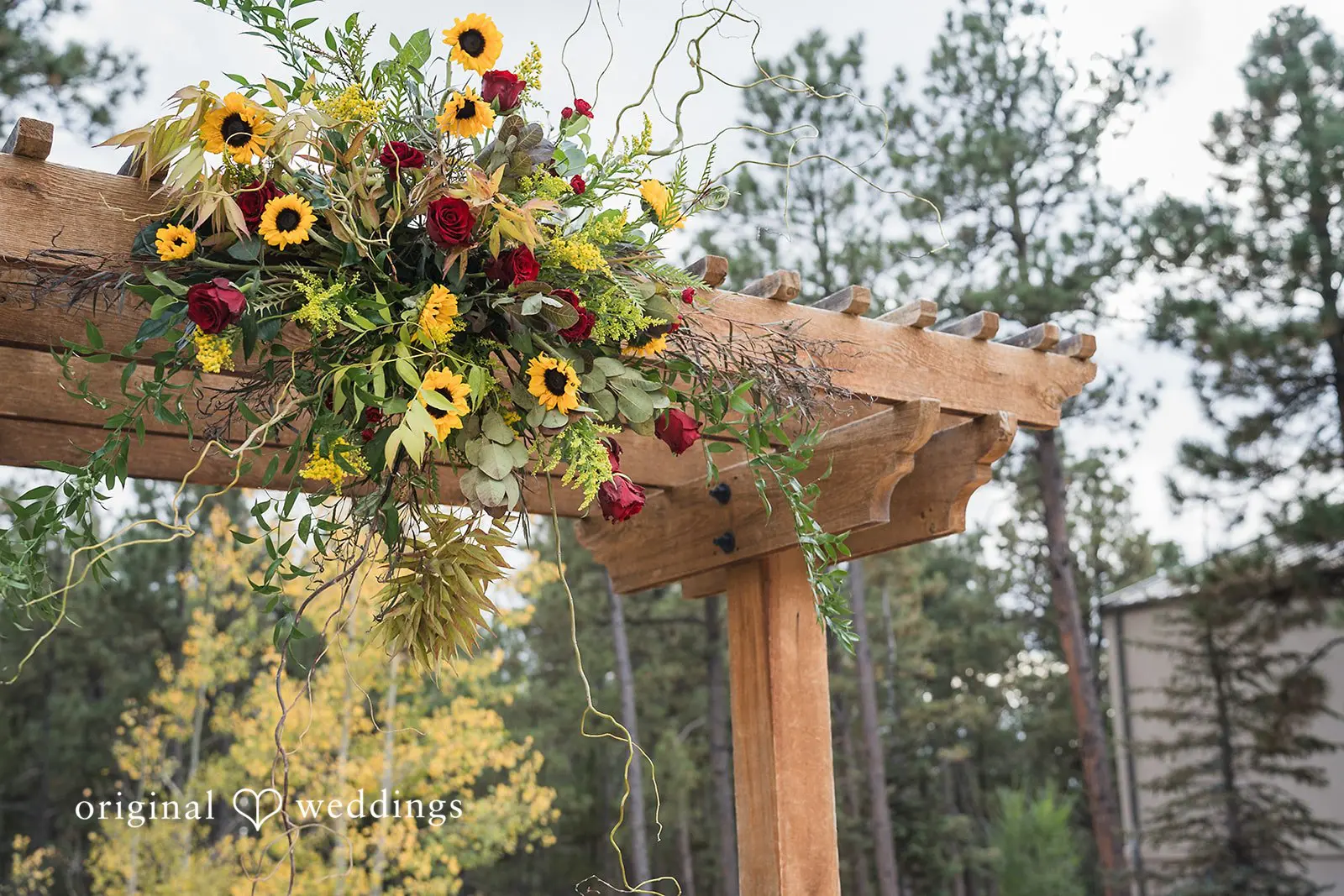 Wendy + William Black Forest Wedding // Wendy & William -