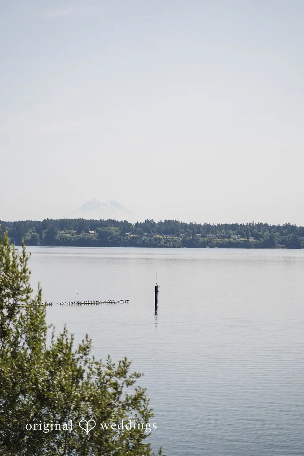 Alissa + Matt Bliss Beach Wedding // Alissa & Matt -