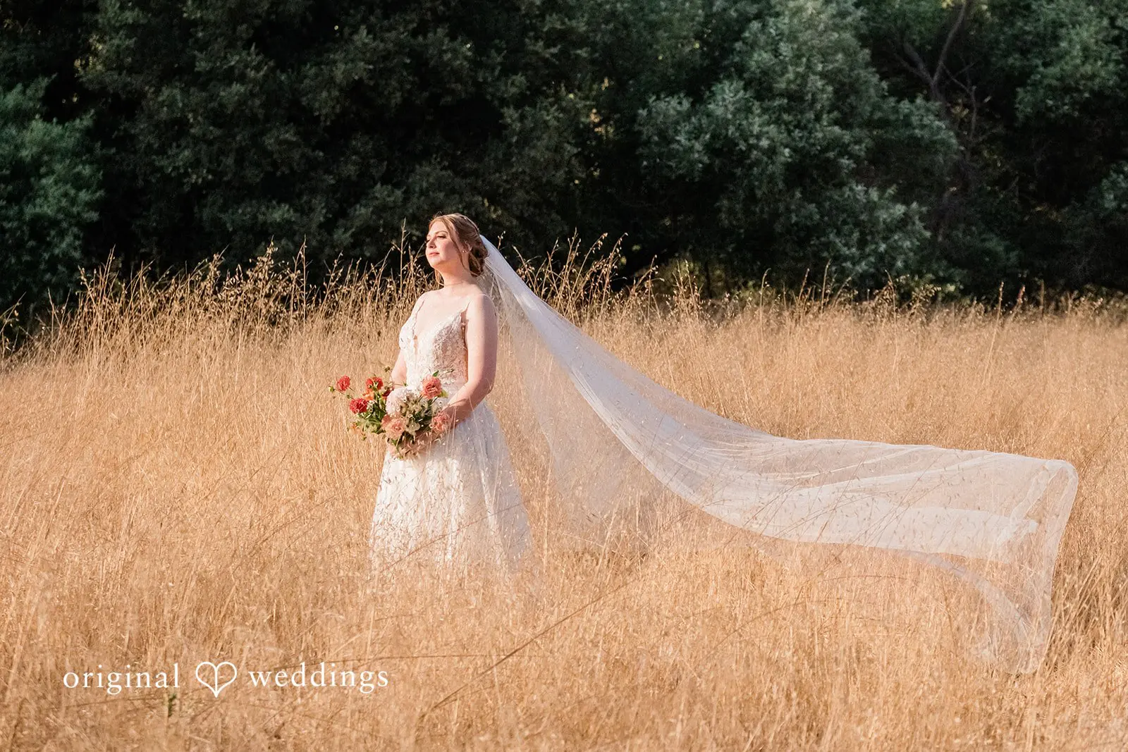 California Backyard Wedding // Jillian & Ian -