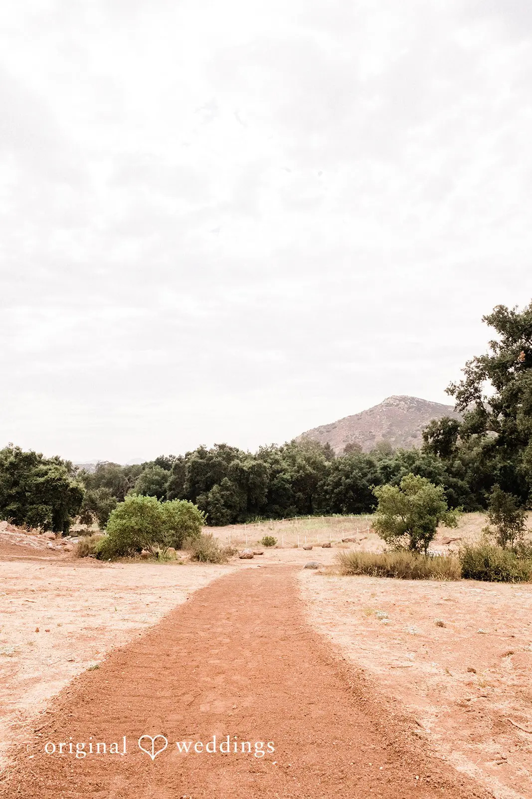 California Backyard Wedding // Jillian & Ian -