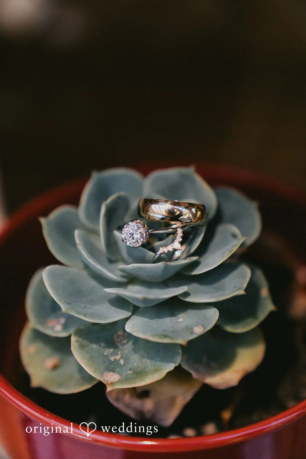 Lulie + Matt California Backyard Wedding // Lulie & Matt -