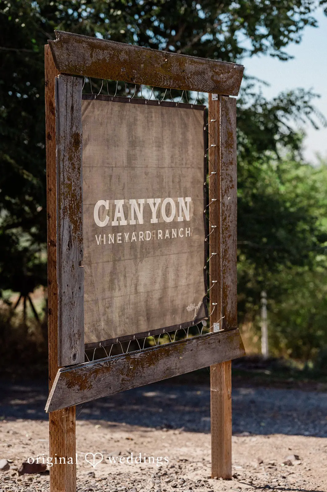 Canyon Ranch Vineyards Wedding // Courtney & Zach -