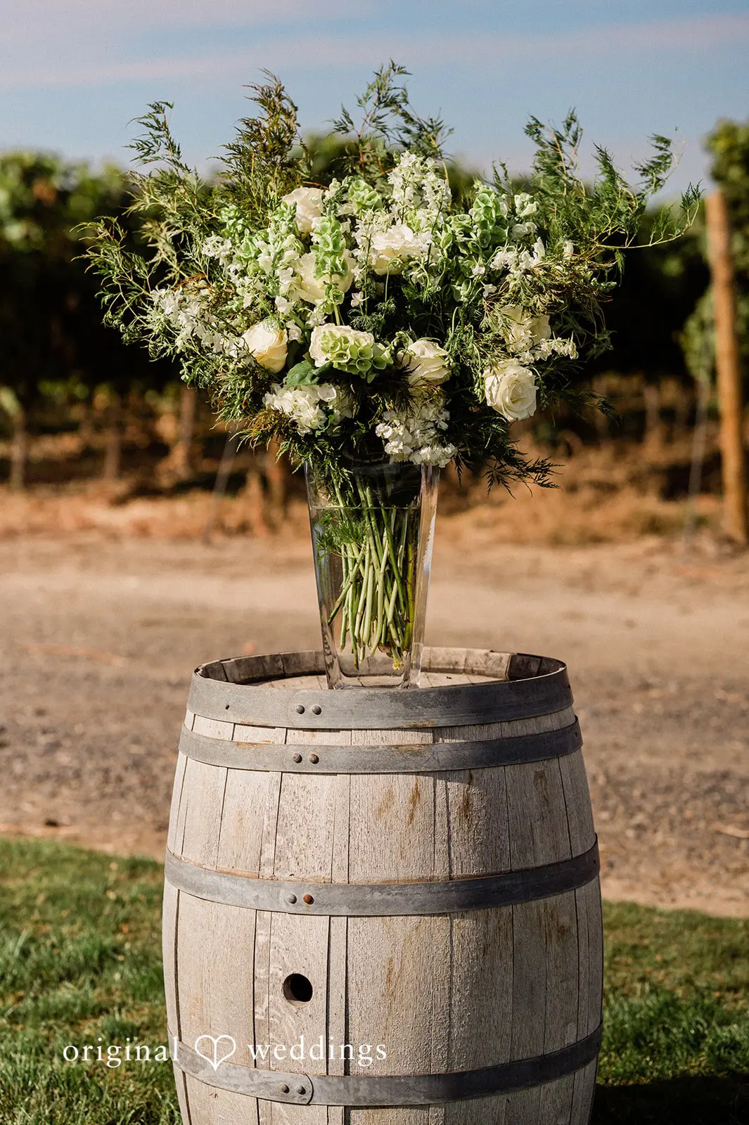 Canyon Ranch Vineyards Wedding // Courtney & Zach -