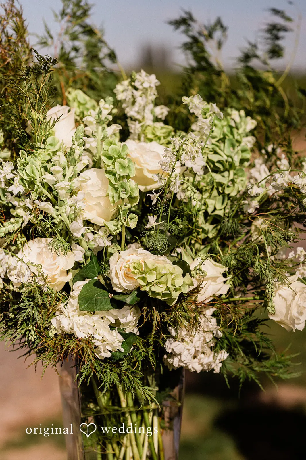 Canyon Ranch Vineyards Wedding // Courtney & Zach -