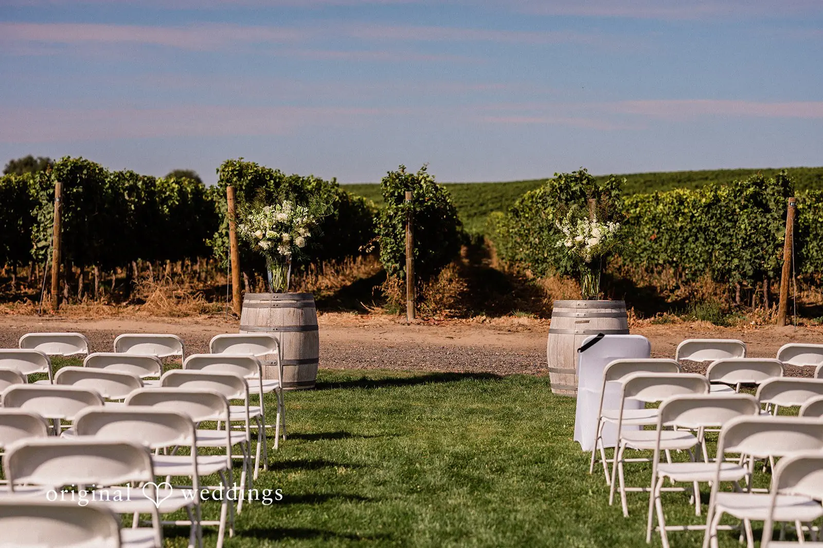 Canyon Ranch Vineyards Wedding // Courtney & Zach -