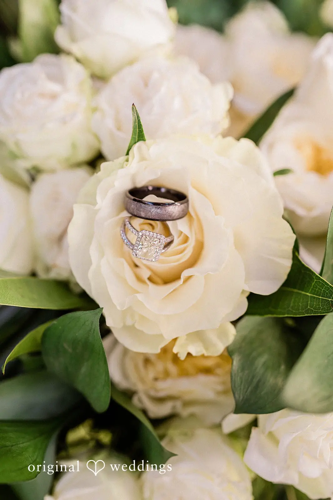 Canyon Ranch Vineyards Wedding // Courtney & Zach -