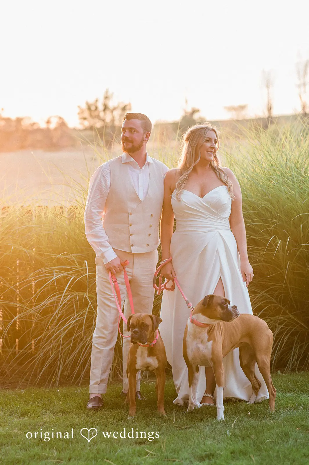 Canyon Ranch Vineyards Wedding // Courtney & Zach -