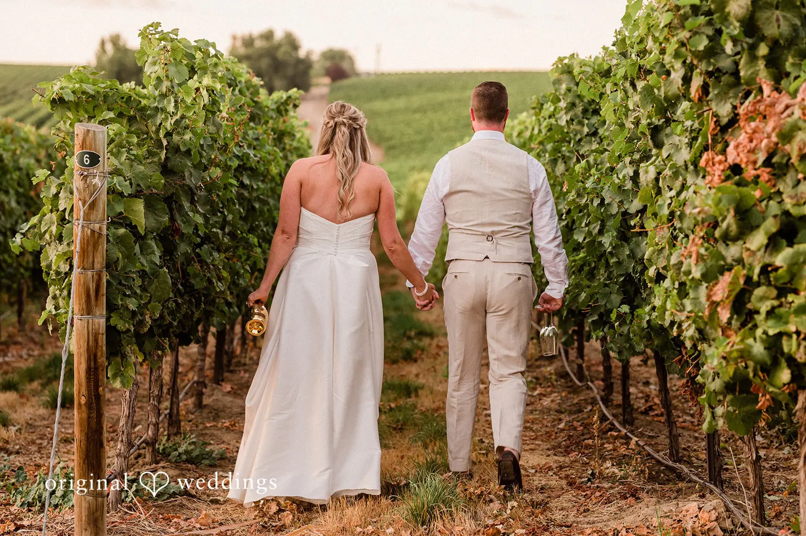 Canyon Ranch Vineyards Wedding // Courtney & Zach -