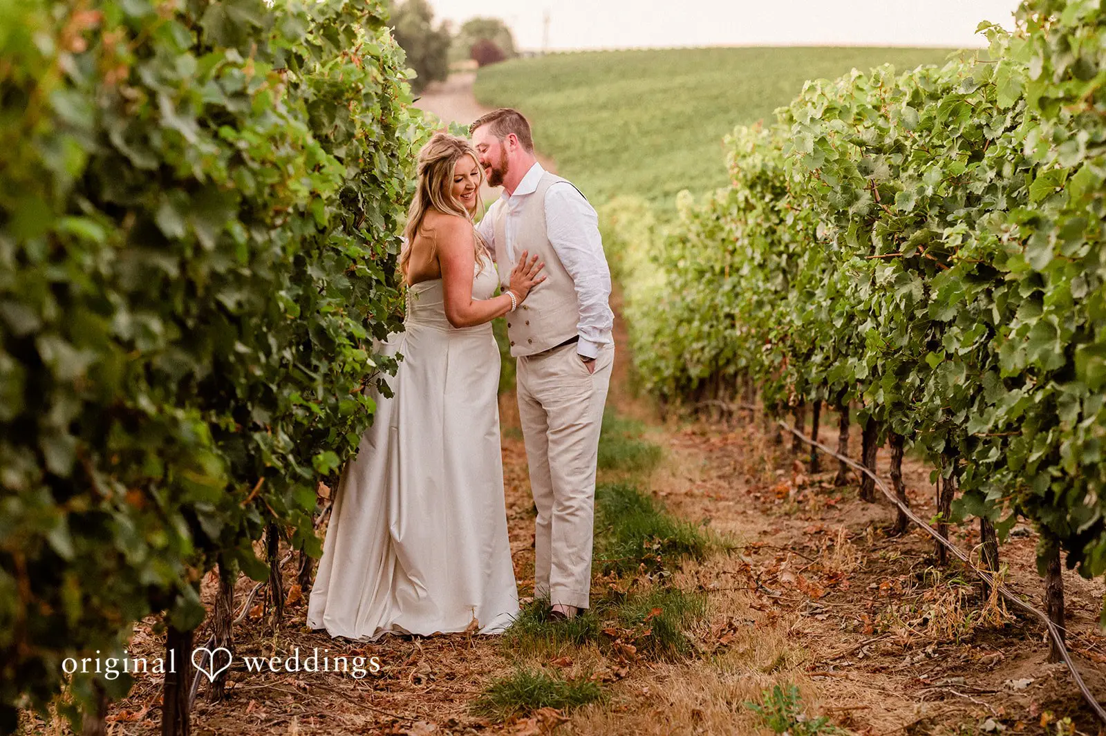 Canyon Ranch Vineyards Wedding // Courtney & Zach -