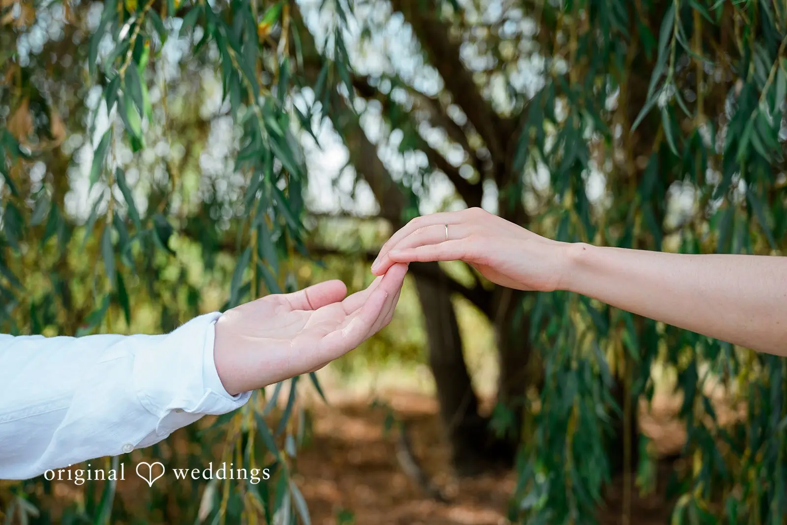Amanda + Spencer Center for Urban Horticulture Wedding // Amanda & Spencer -