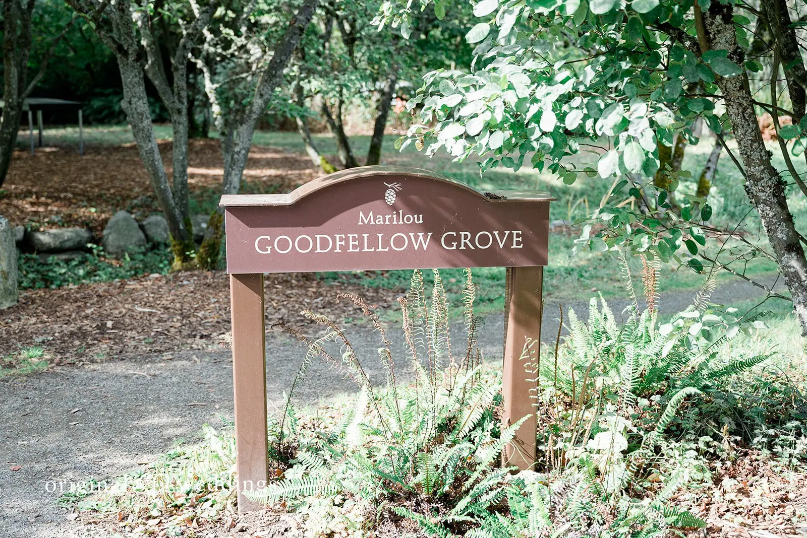 Amanda + Spencer Center for Urban Horticulture Wedding // Amanda & Spencer -