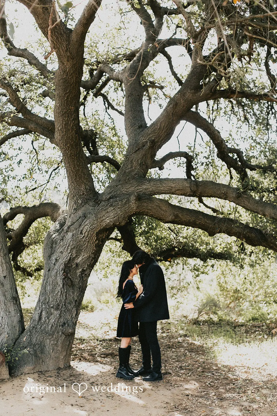Charmlee Wilderness Park Engagement // Jessica & Jaime -