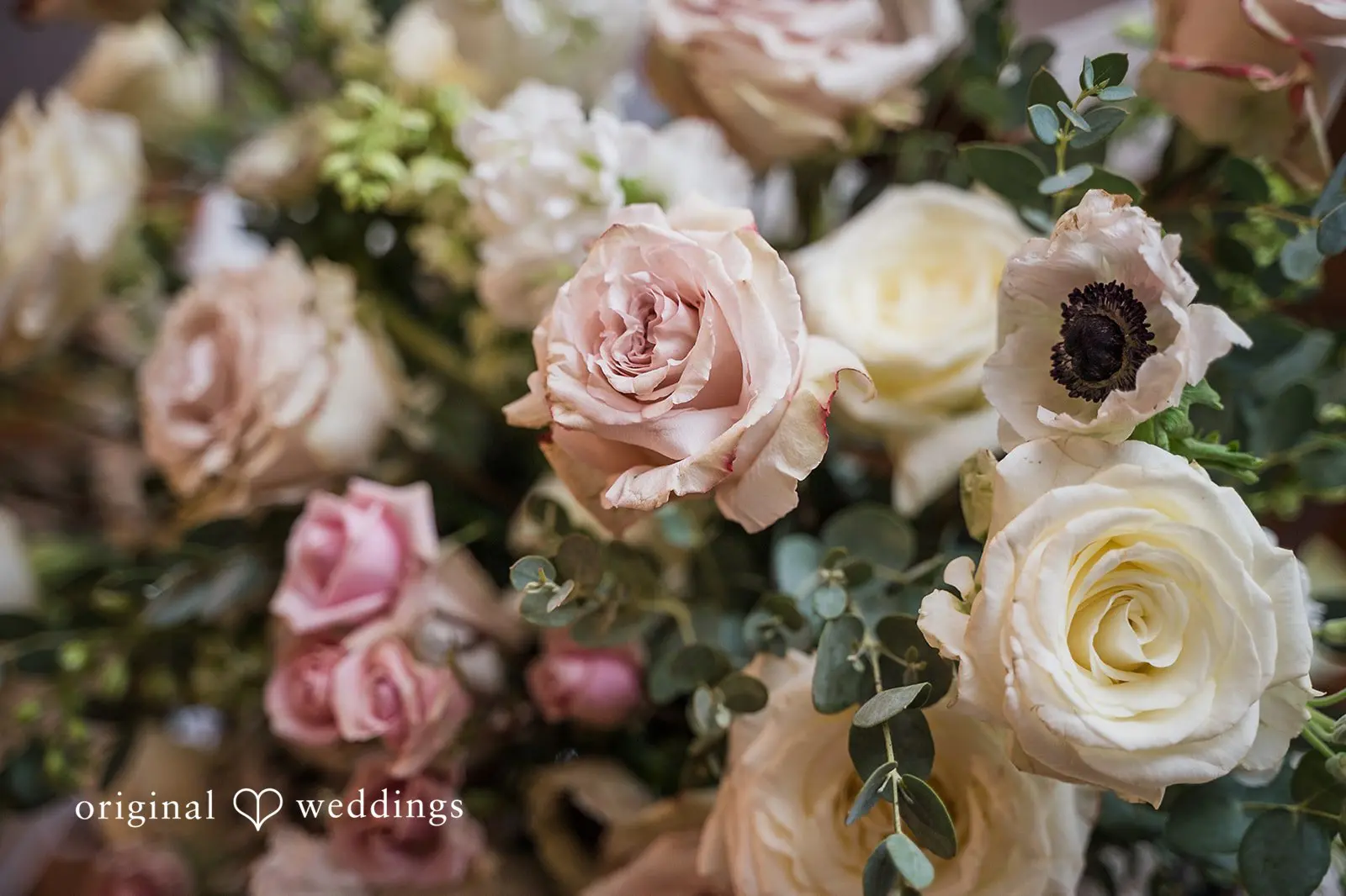 Natalie + Steven Colonial Hotel Wedding // Natalie & Steven -