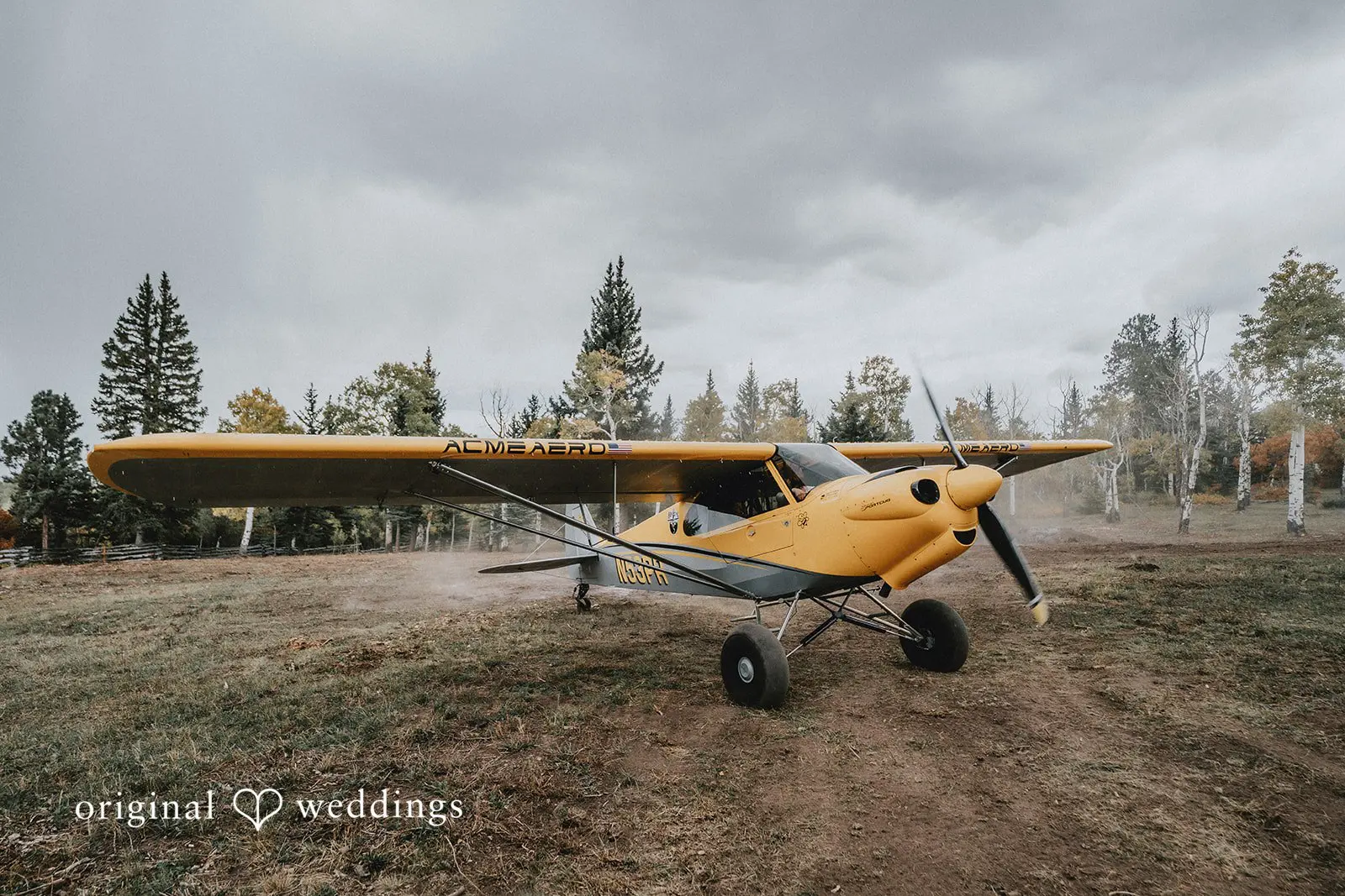 Jaden + Kaleb Colorado Backyard Wedding // Jaden & Kaleb -