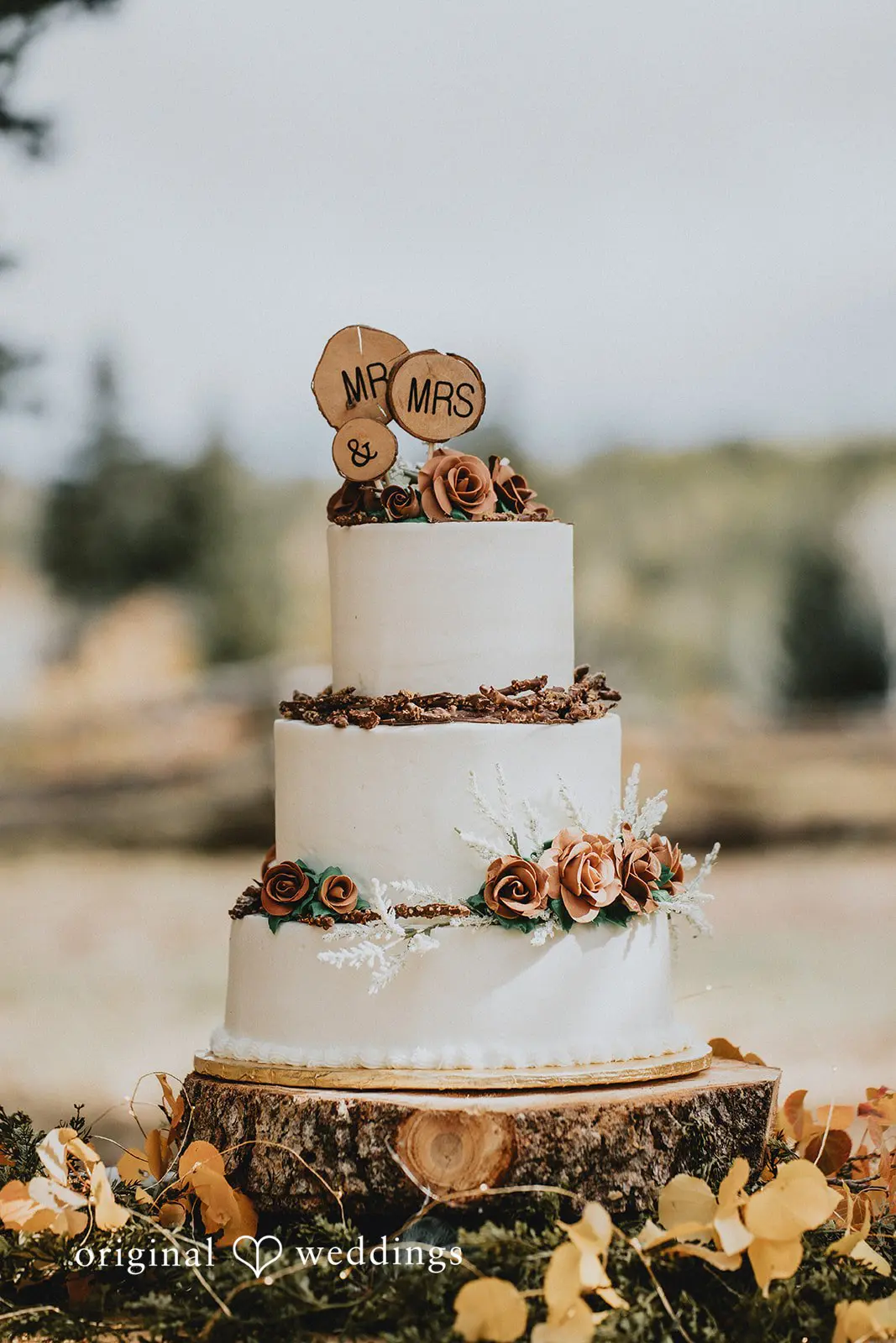 Jaden + Kaleb Colorado Backyard Wedding // Jaden & Kaleb -