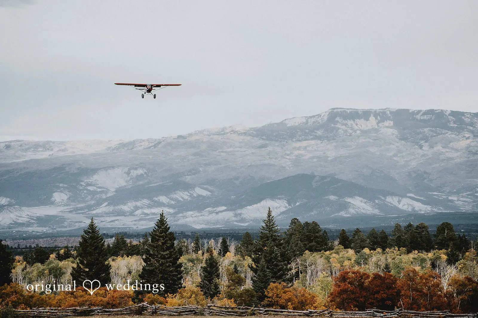 Jaden + Kaleb Colorado Backyard Wedding // Jaden & Kaleb -
