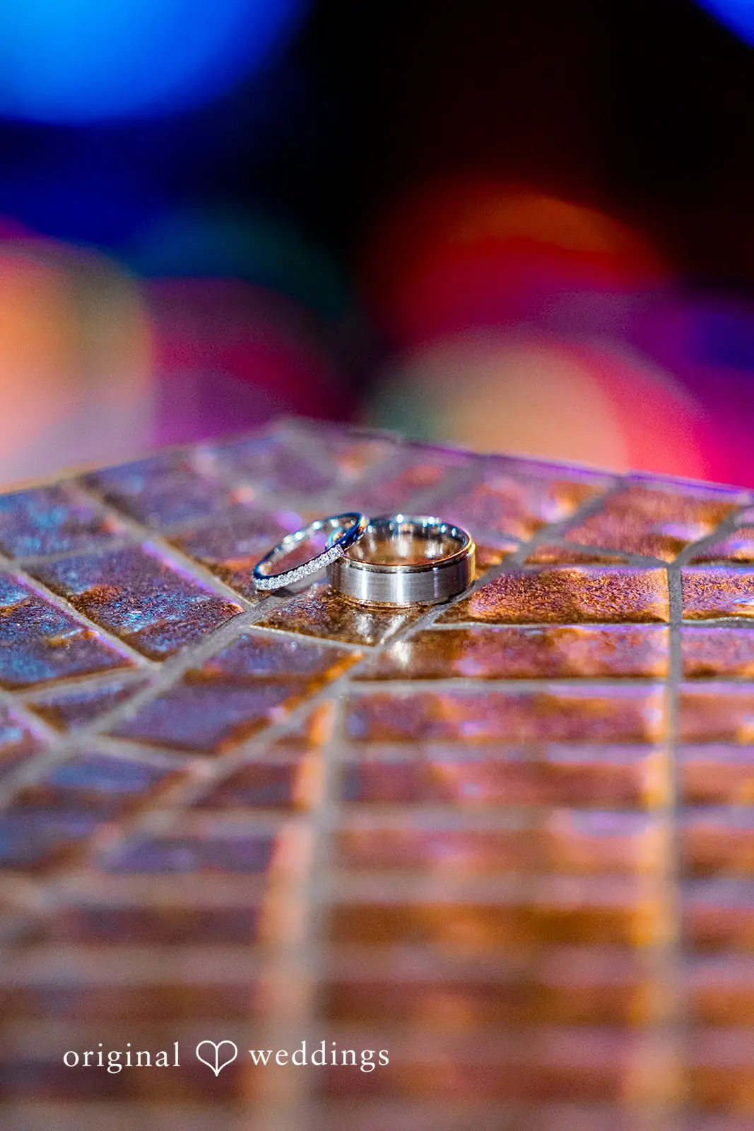 Concorde in Kildeer Wedding // Chanel & Anthony -