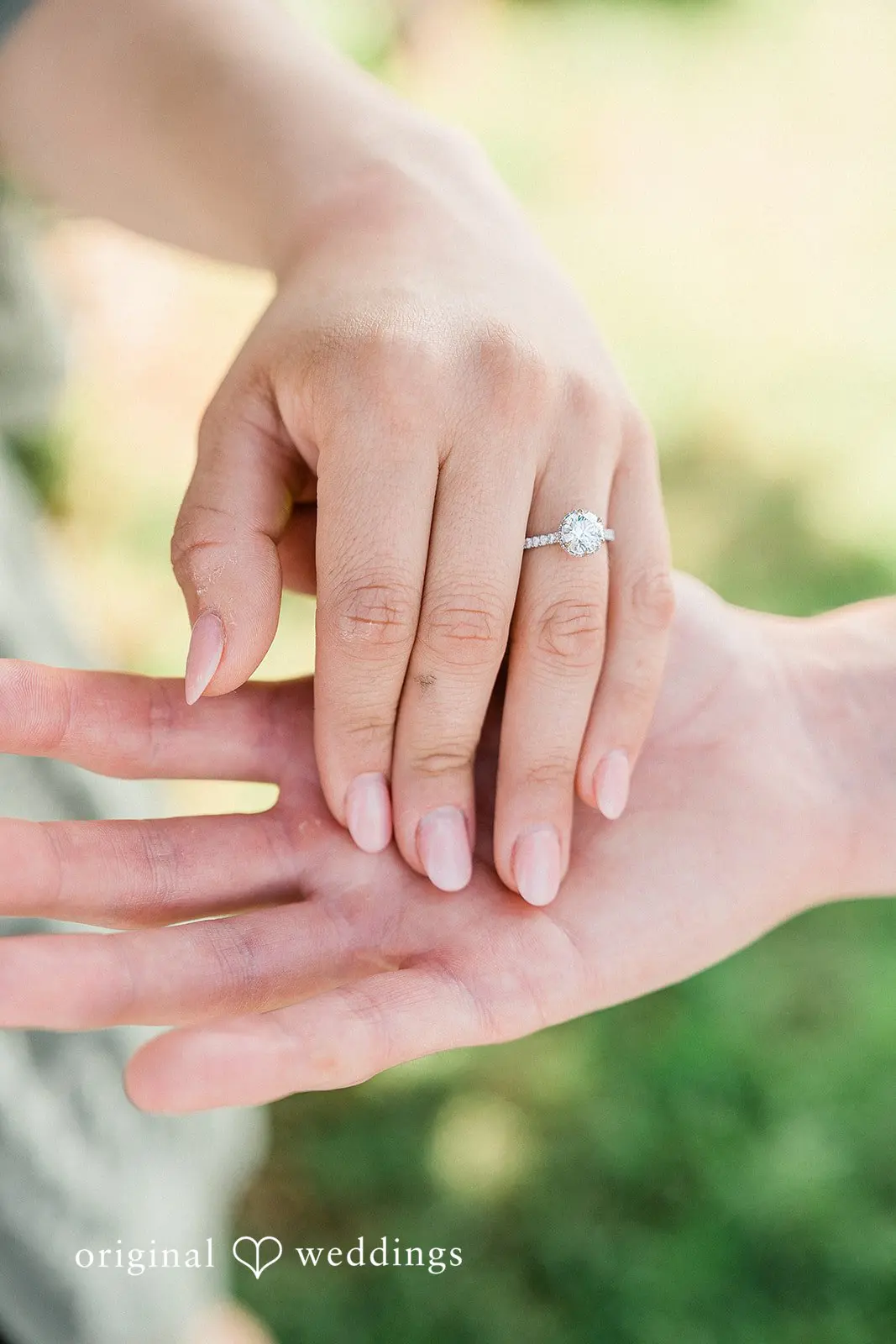 Marc + Anai David E Brink Park Engagement // Marc & Anai -