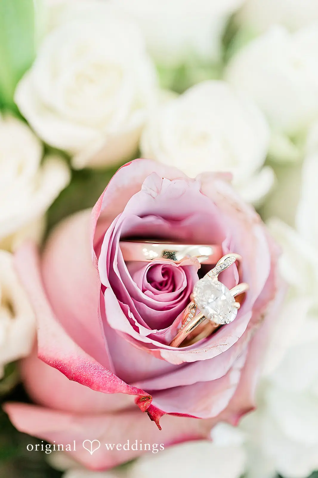 Del Favero Oasis Wedding // Megan & Brian   -