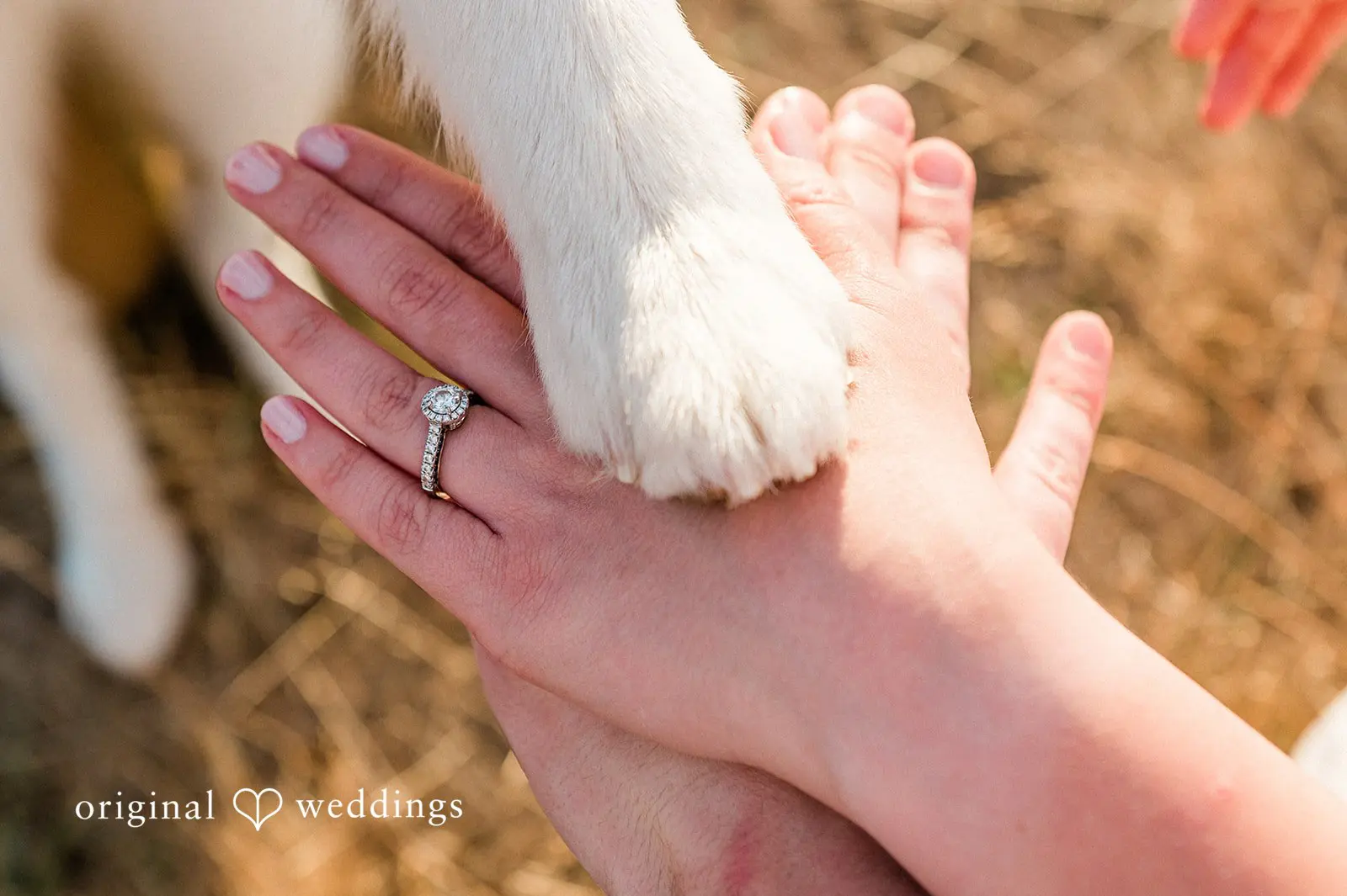 Samantha + Joe Discovery Park Engagement // Samantha & Joseph -
