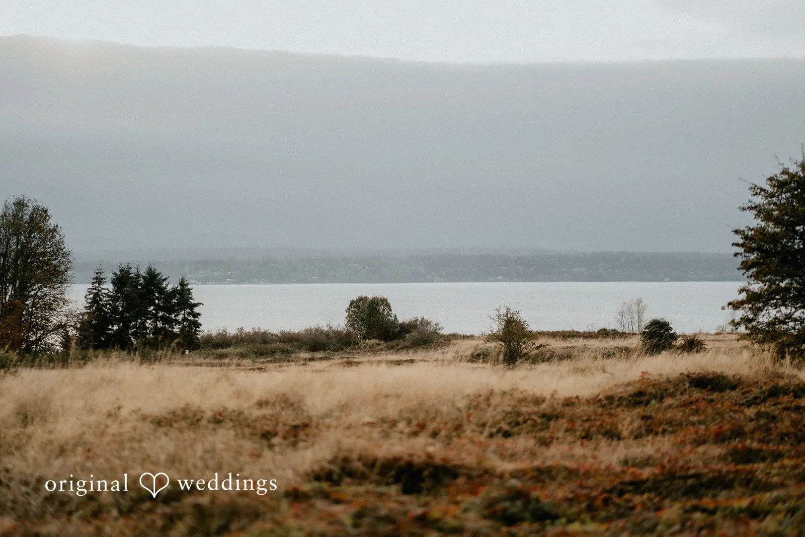 Kassie + Brooks Discovery Park Engagement // Kassie & Brooks -