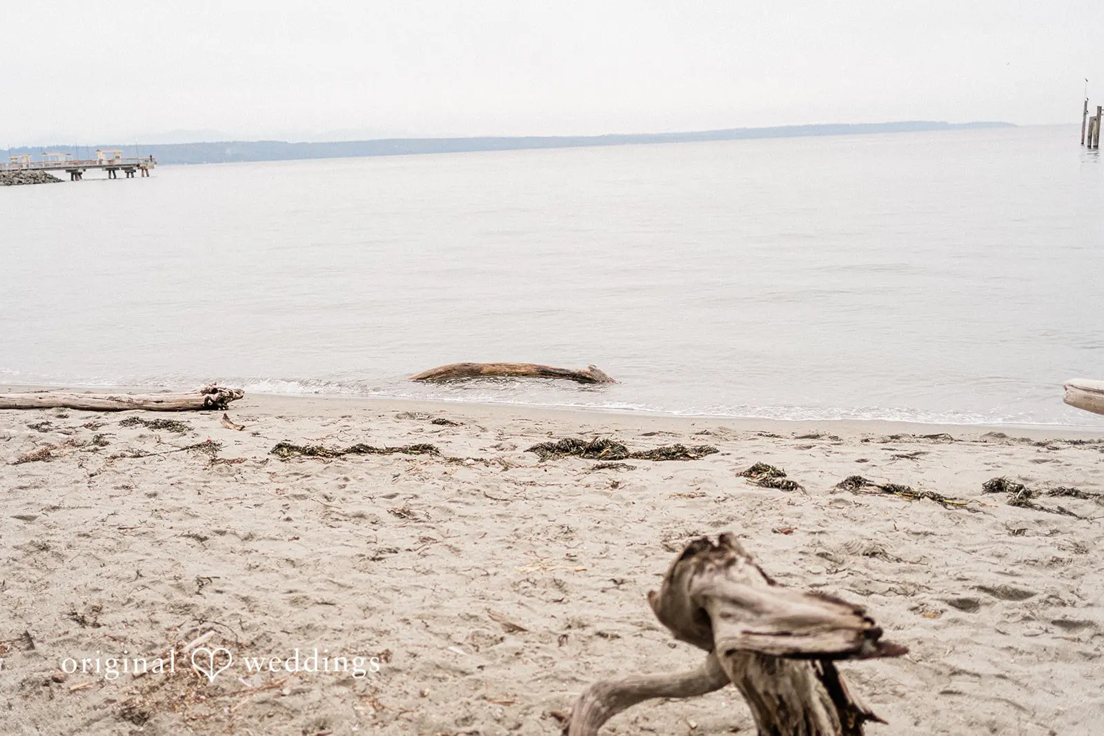 Edmonds Engagement // Kylie & Tyler -