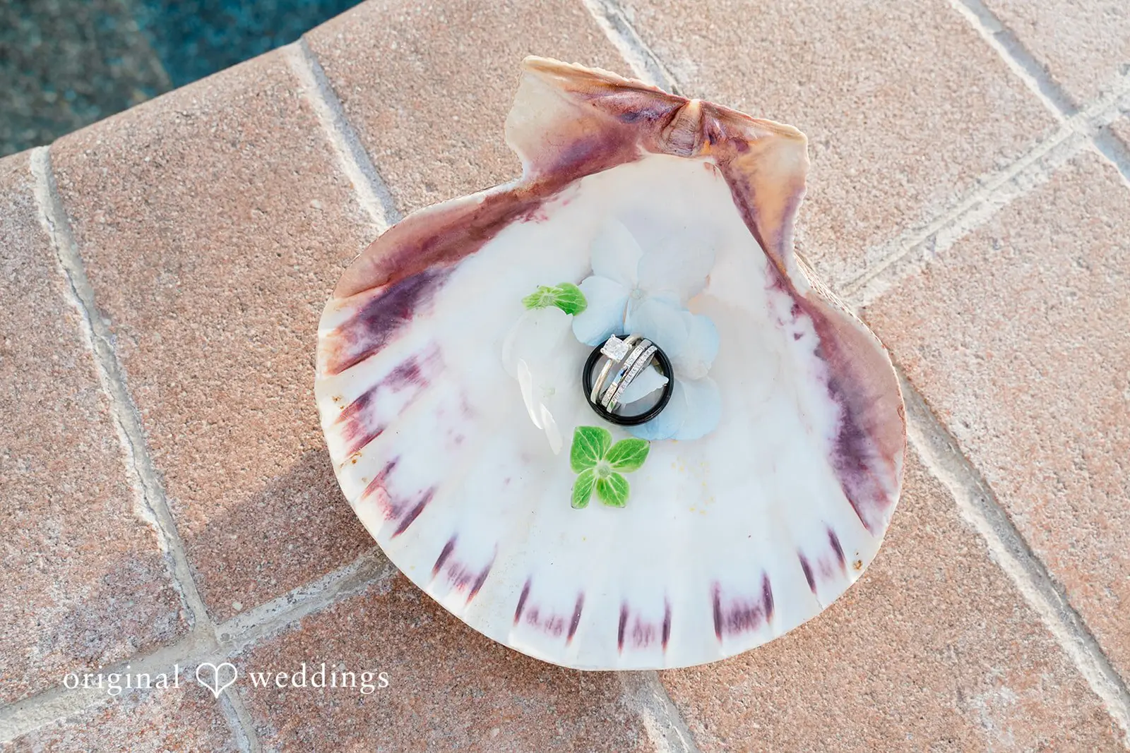 Florida Beach Wedding // Kellie & Kilian -