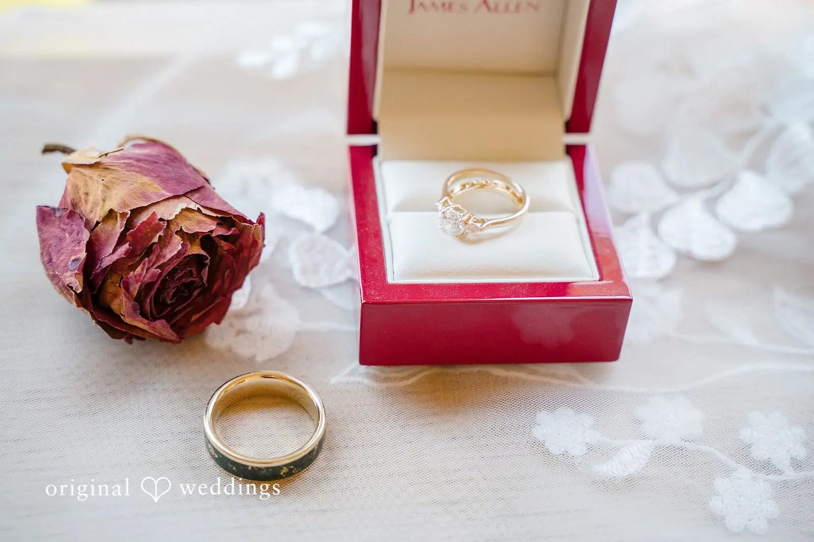 Fruitlands Museum Wedding // Amanda & Cameron -