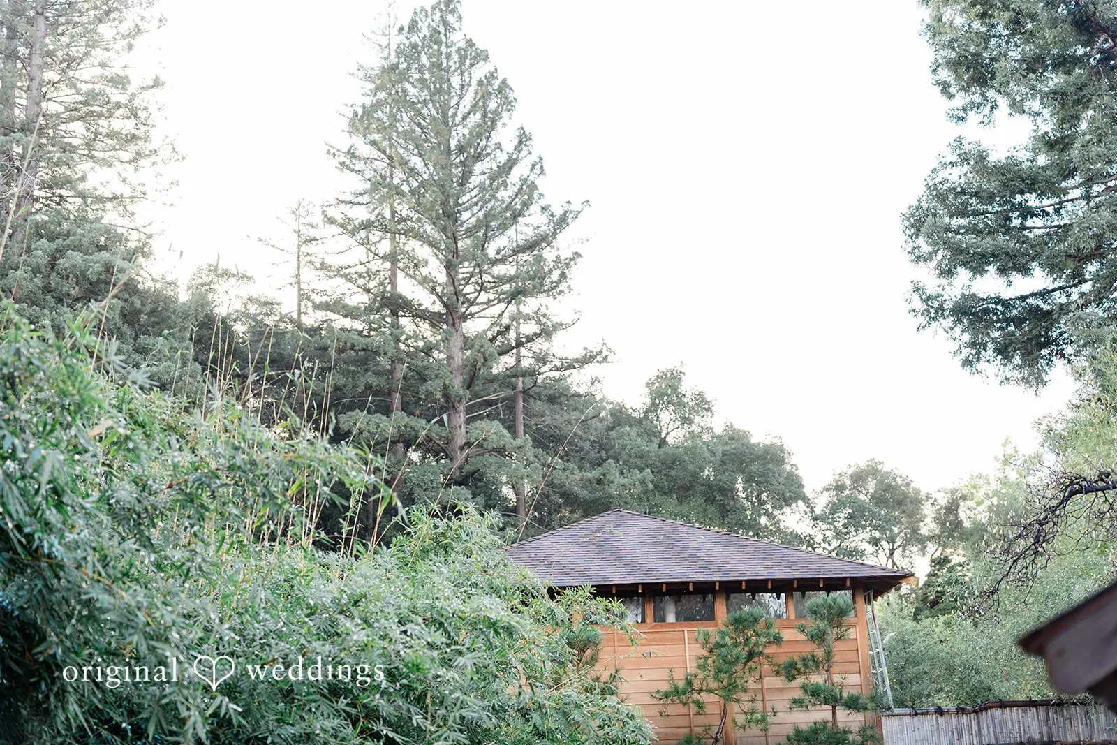 Kevin & Roberta Hakone Gardens Engagement // Roberta & Kevin -